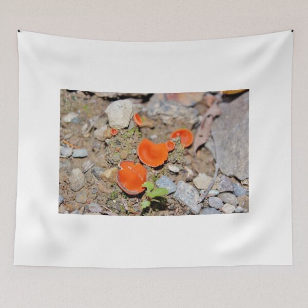 Item preview, Orange Peel Fungus designed and sold by Kathleen Daley.