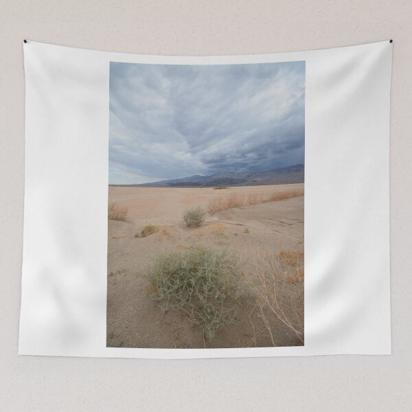Item preview, Death Valley NP, California (USA) - Dust & Clouds designed and sold by Rob Schoon.