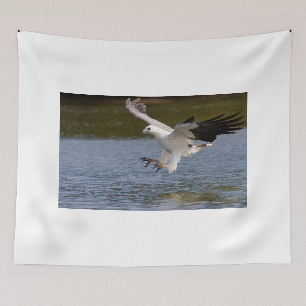 Item preview, Talons First designed and sold by byronbackyard.