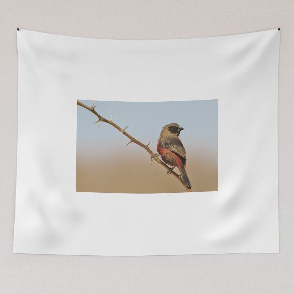 Item preview, Blackcheeked Waxbill - Finding Thorny Solitude designed and sold by LivingWild.