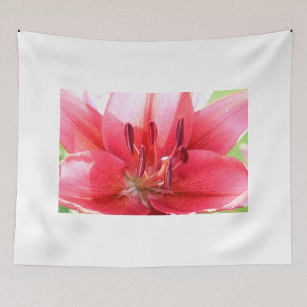 Item preview, Pink Lily Up Close designed and sold by Gilda Axelrod.