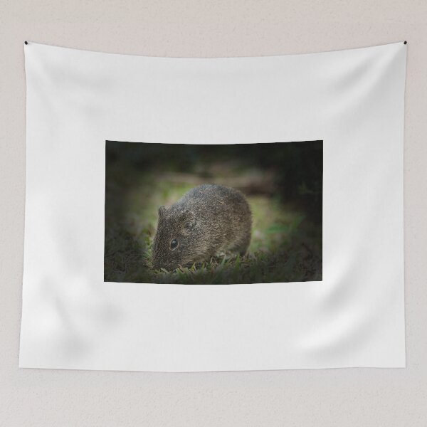 Item preview, Coypu designed and sold by photograham.