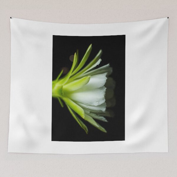 Item preview, The Night Cactus designed and sold by Mario Morales Rubi.