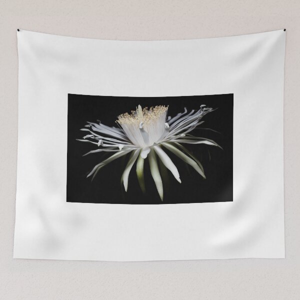 Item preview, From the Night Space designed and sold by Mario Morales Rubi.