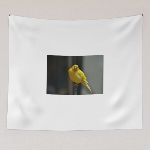 Item preview, Yellow Finch designed and sold by Eleu Tabares.