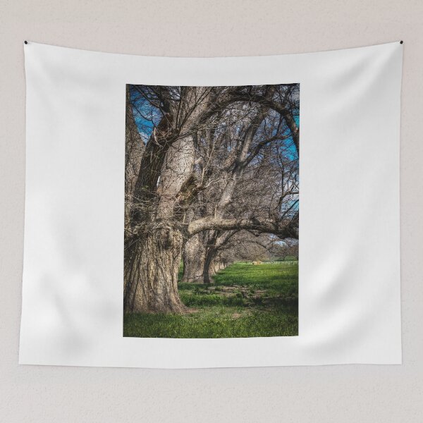 Item preview, Country lane near Axedale, Victoria (2) designed and sold by shaynetwright.