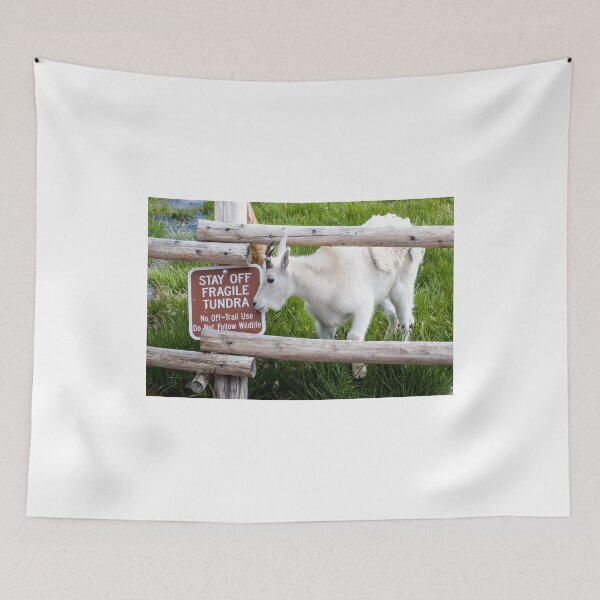 Item preview, But I want to follow my mom designed and sold by Eivor Kuchta.