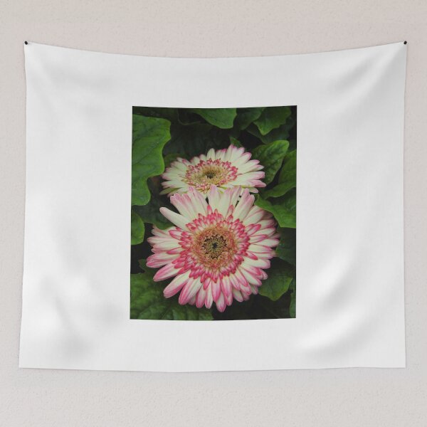 Item preview, Two Gerberas designed and sold by WildestArt.