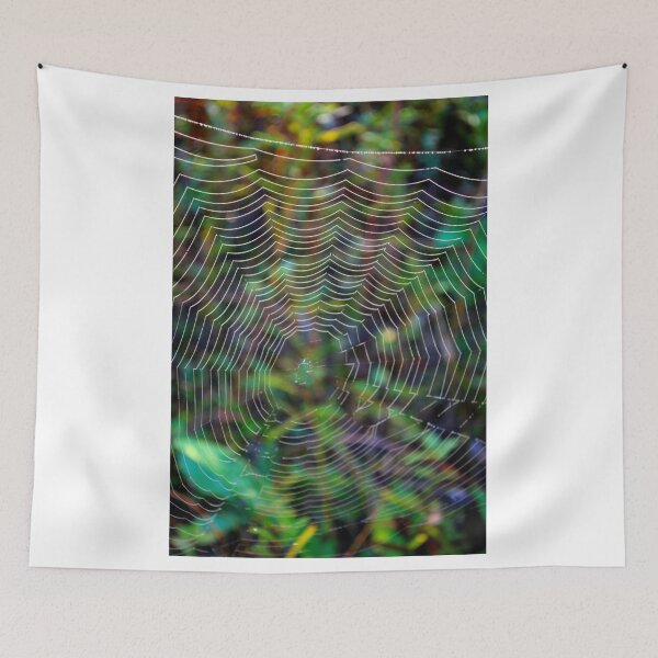 Item preview, The Spider's Lair designed and sold by LynyrdSky.