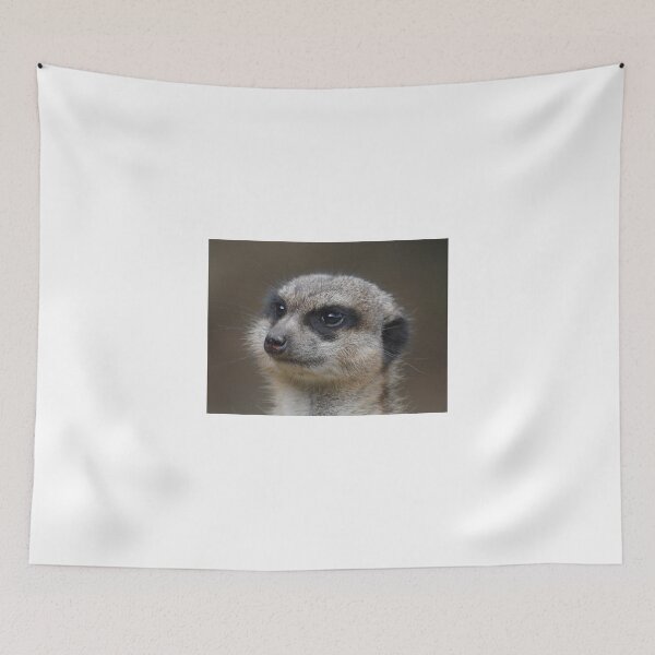 Item preview, Portrait of a Meerkat designed and sold by Dorothy Thomson.