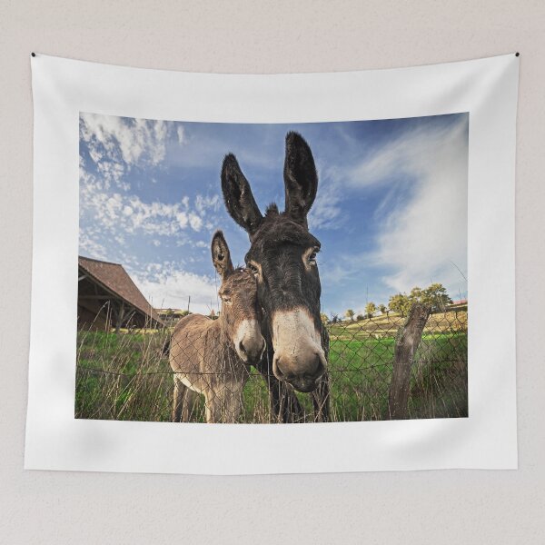 Item preview, Donkeys! designed and sold by TonyPriestley.