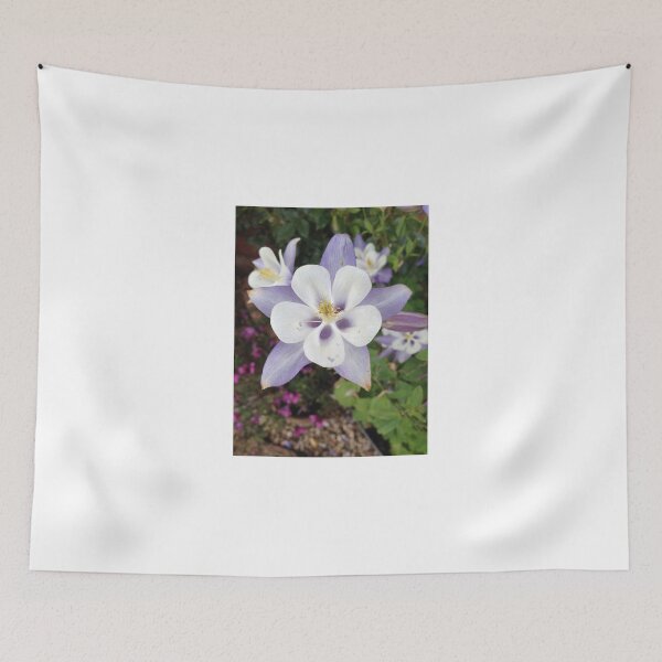 Item preview.