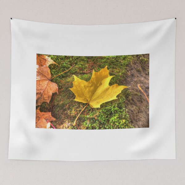 Item preview, Fallen leaves IV designed and sold by Rich Fletcher.