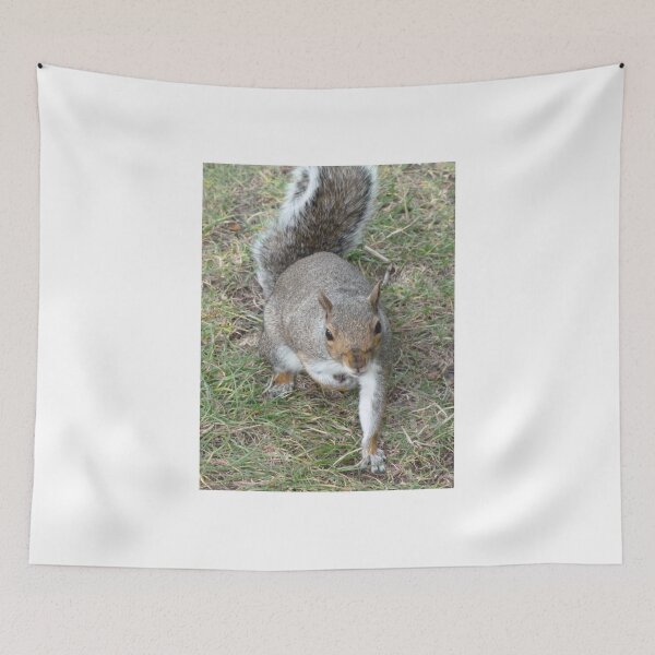 Item preview, Chuck us a nut designed and sold by Sandra Willis.