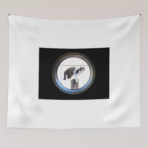 Item preview, Ahoy Honey designed and sold by Frankie Cat Photography.