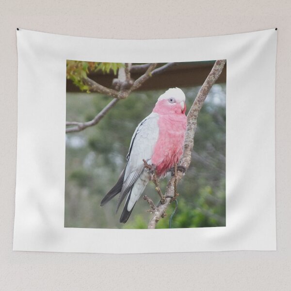 Item preview, Australian Galah Toowoomba Qld  designed and sold by sandysartstudio.