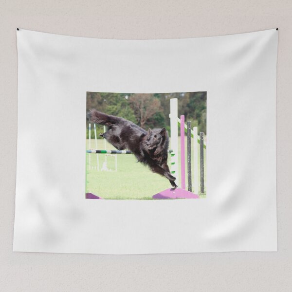 Item preview, 2015 agility jumping Groenendael  designed and sold by Belgian Shepherd Dog Club of QLD Inc.