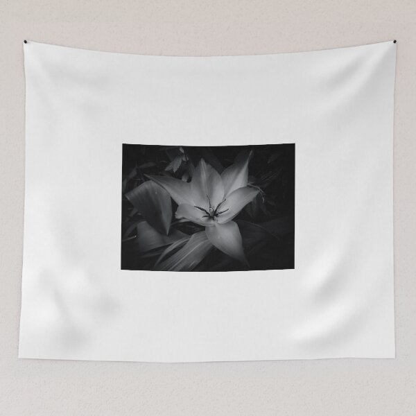 Item preview, Dark Secret designed and sold by Mike Cave.