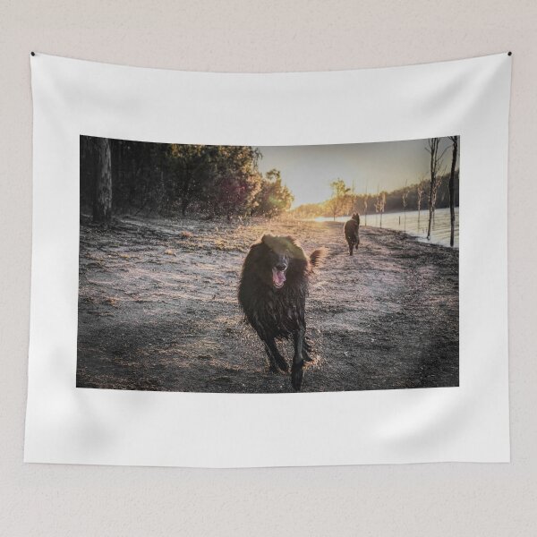 Item preview, 2015 Groenendaels at lakeside designed and sold by Belgian Shepherd Dog Club of QLD Inc.