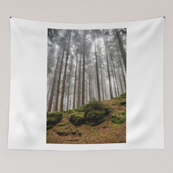 Item preview, Fall Forest designed and sold by Walter Quirtmair.