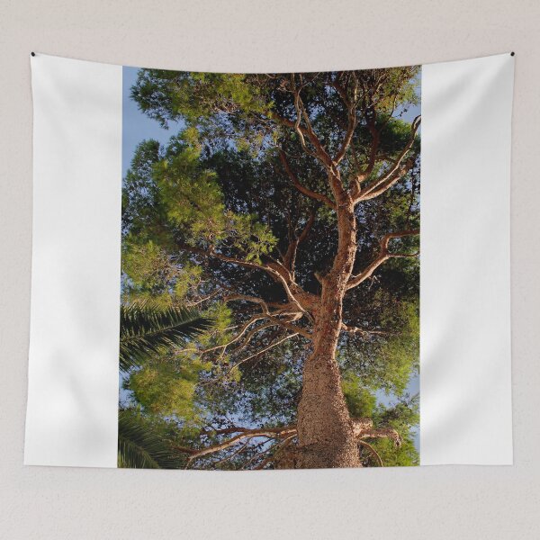Item preview, Pollensa Pine Tree designed and sold by Wrayzo.