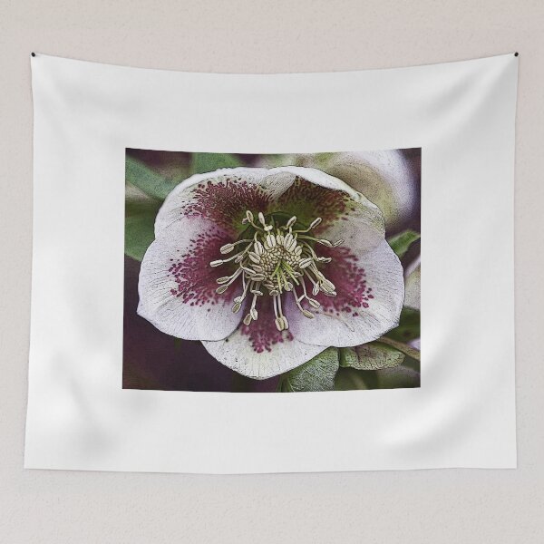 Item preview, Grungy Christmas Rose designed and sold by John Keates.
