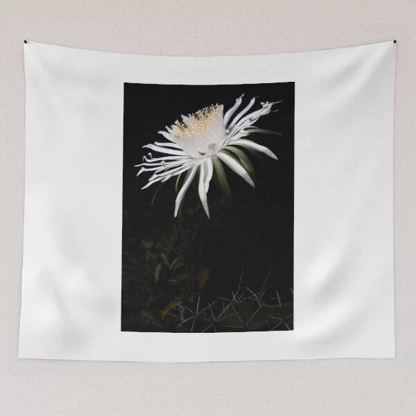 Item preview, Acanthocereus Bloom designed and sold by Mario Morales Rubi.