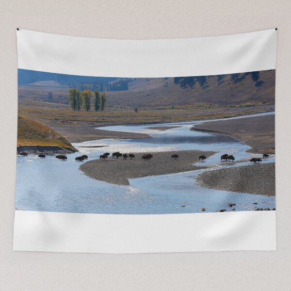 Item preview, Line of Bison in the Lamar Valley, Yellowstone NP designed and sold by Martin Lawrence.
