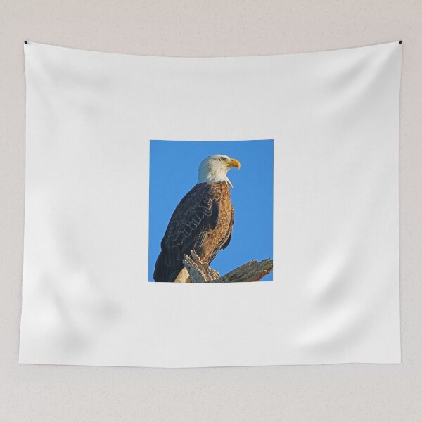 Item preview, A Regal Eagle!! designed and sold by Anthony Goldman.