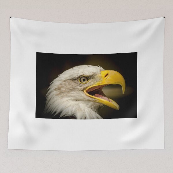Item preview, Bald Eagle designed and sold by Darren Wilkes.