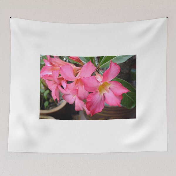 Item preview, Dressed in pink  designed and sold by sandysartstudio.