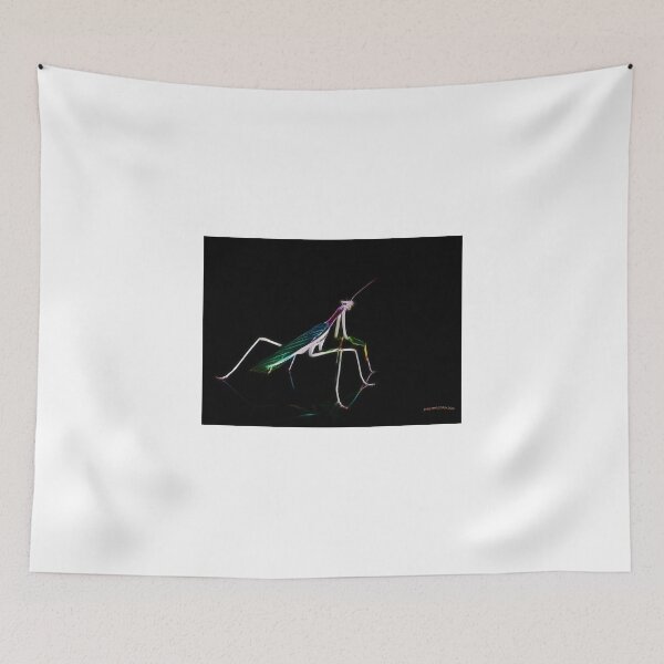 Aperçu de l'œuvre Praying Mantis, stylized créée et vendue par Celsiusrising.