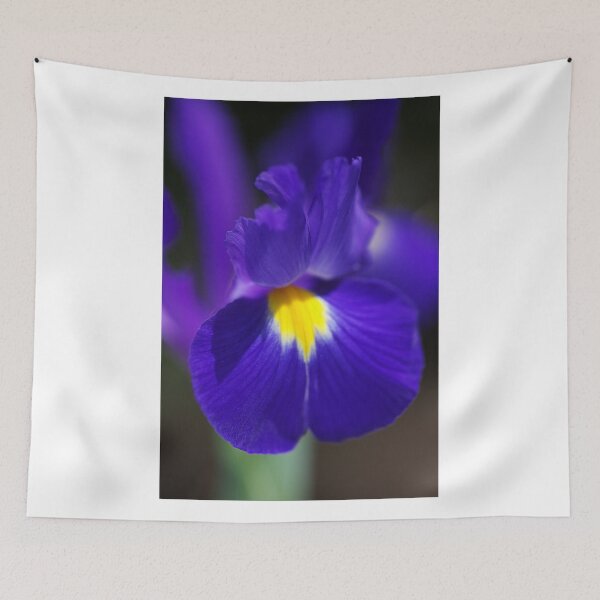 Item preview, Iris Springs Love designed and sold by Joy Watson - Natural Light Photography .