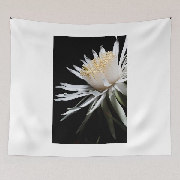 Item preview, Star Born designed and sold by Mario Morales Rubi.