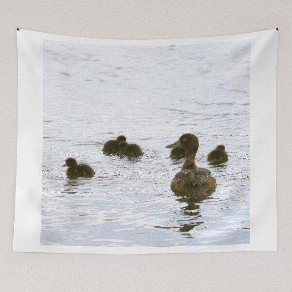 Item preview, ducklings in the water designed and sold by sebmcnulty.