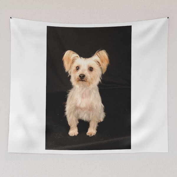 Item preview, Darby I designed and sold by Colin White.