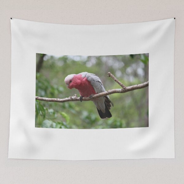 Item preview, Galah designed and sold by Robyn J. Blackford.