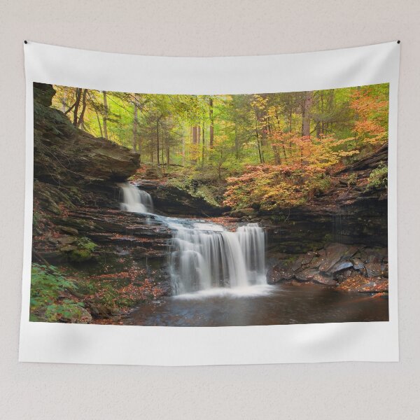 Item preview, R. B. Ricketts in the Changing Forest  designed and sold by Gene Walls.