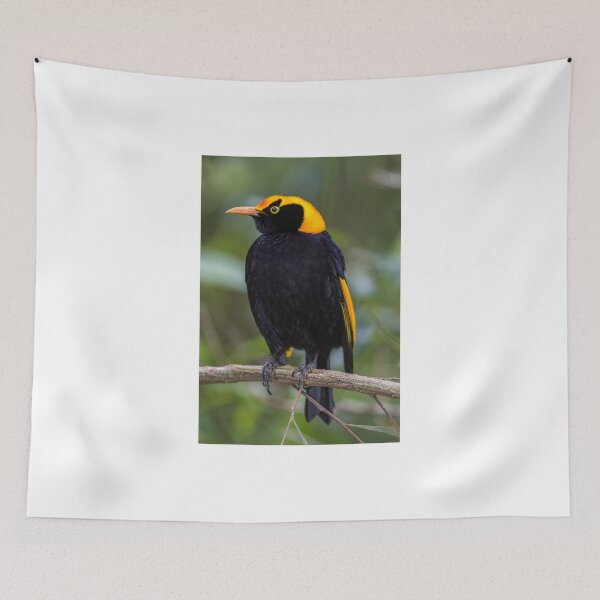 Item preview, Regent Bower Bird designed and sold by Steve Bass.