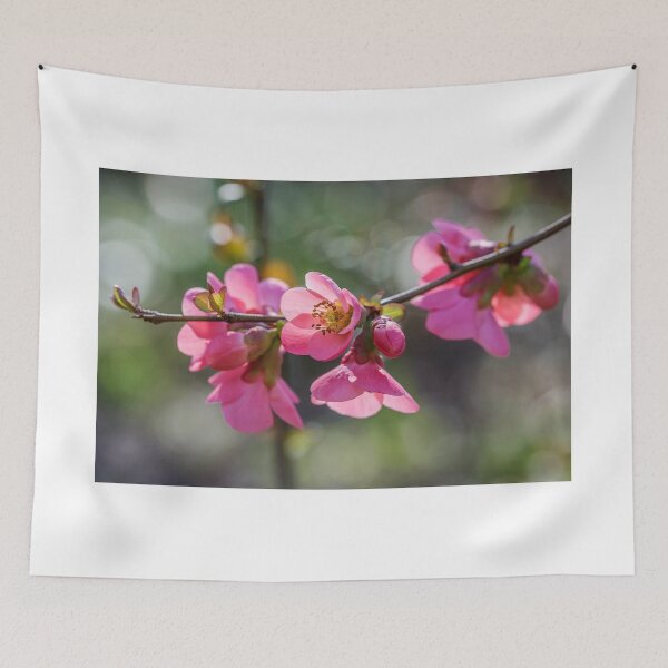 Item preview, Japonica designed and sold by TonyPriestley.