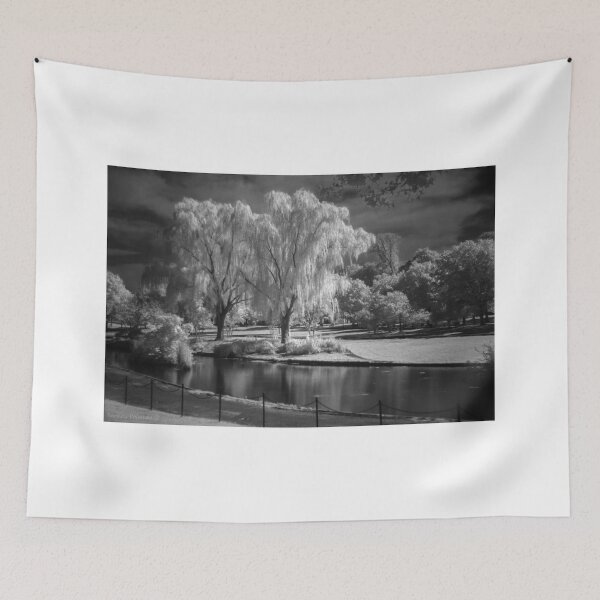 Item preview, Constitution Park designed and sold by Bernai Velarde.