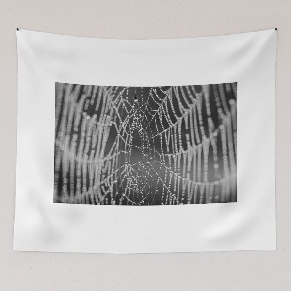 Item preview, Web designed and sold by TonyPriestley.