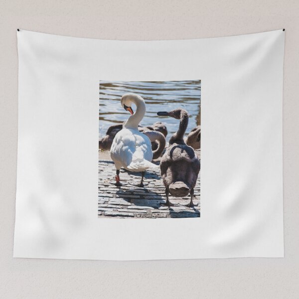 Item preview, Beautiful swan familiy with nestlings in lake designed and sold by Stanciuc.