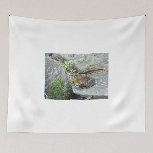 Item preview, Ribbit designed and sold by Maureen Zaharie.