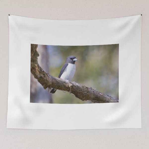 Item preview, Woodswallow designed and sold by byronbackyard.