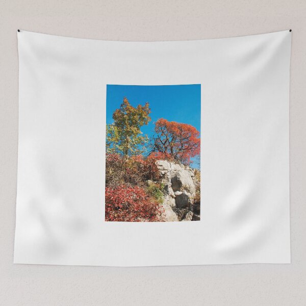 Item preview, Autumn Colours in the Carso designed and sold by jojobob.
