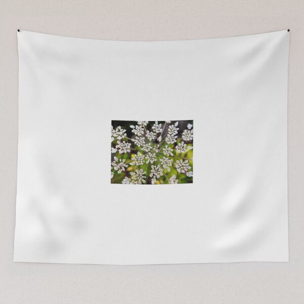Item preview, Queen Anne's Lace Macro designed and sold by dahlymama.