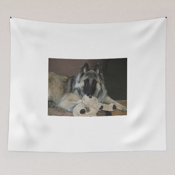 Item preview, 2015 Tervueren with Teddy toy designed and sold by Belgian Shepherd Dog Club of QLD Inc.