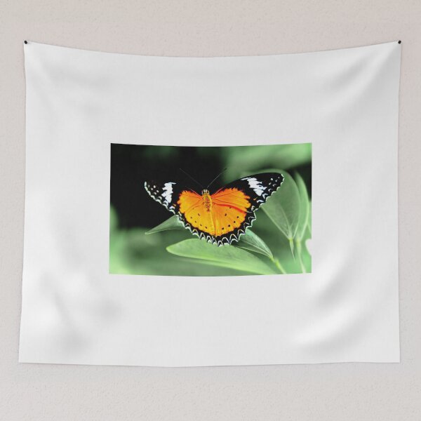 Item preview, Leapord Lacewing (Chloe) designed and sold by Poete100.