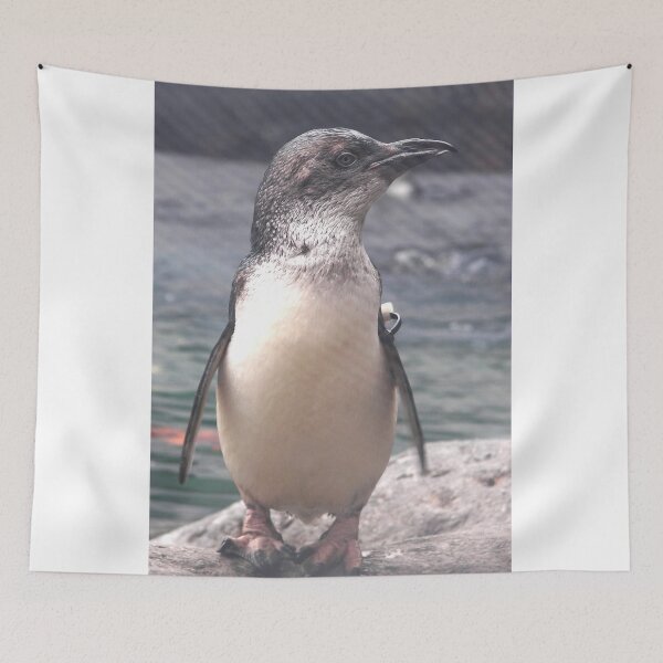 Item preview, Little Blue Penguin Christchurch New Zealand designed and sold by sandysartstudio.